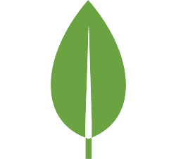 mongodb icon